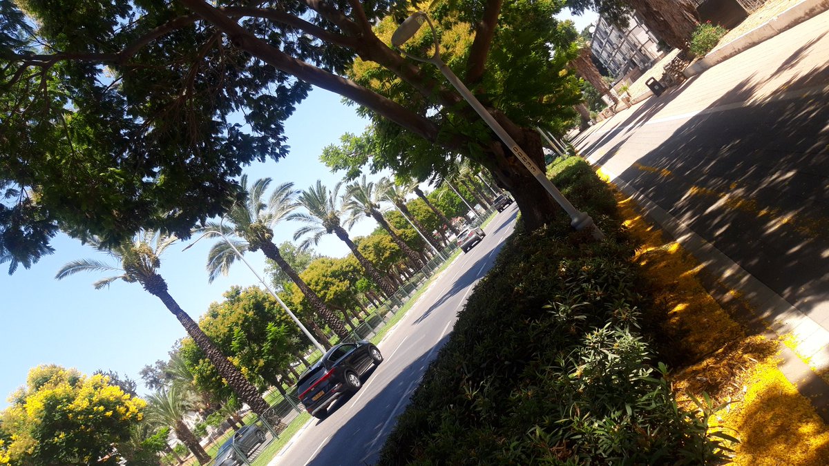 Morning walk..