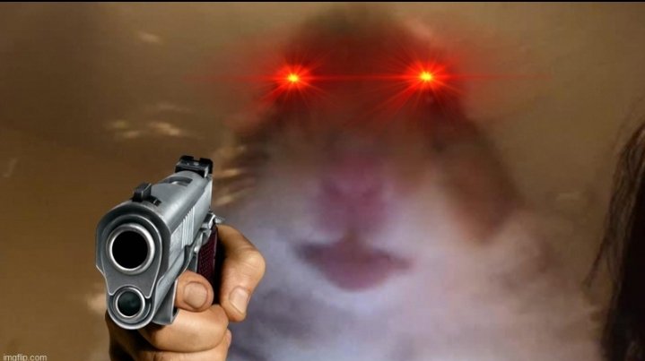 $HAMS come back is coming cousin