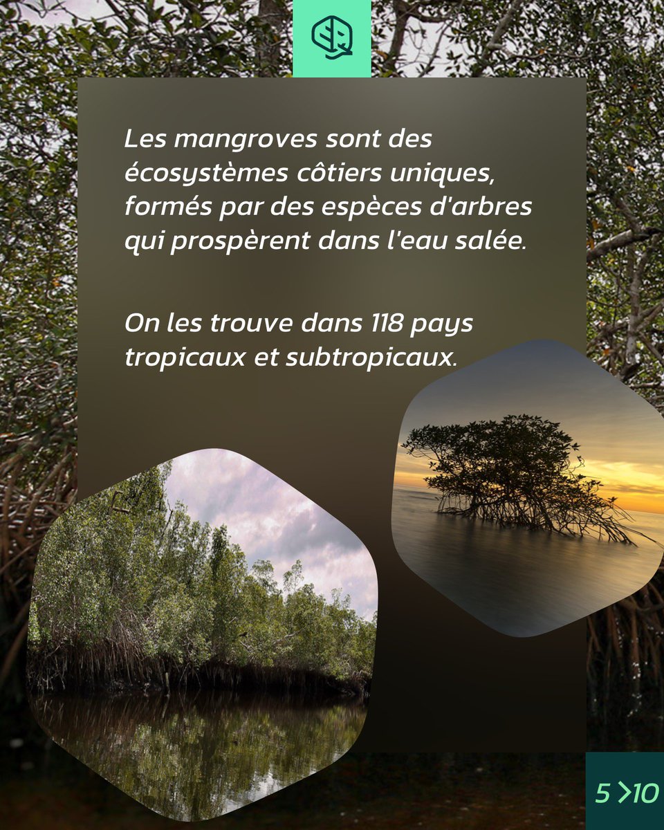 okala_io's tweet photo. https://t.co/Zd8CbIaPmI