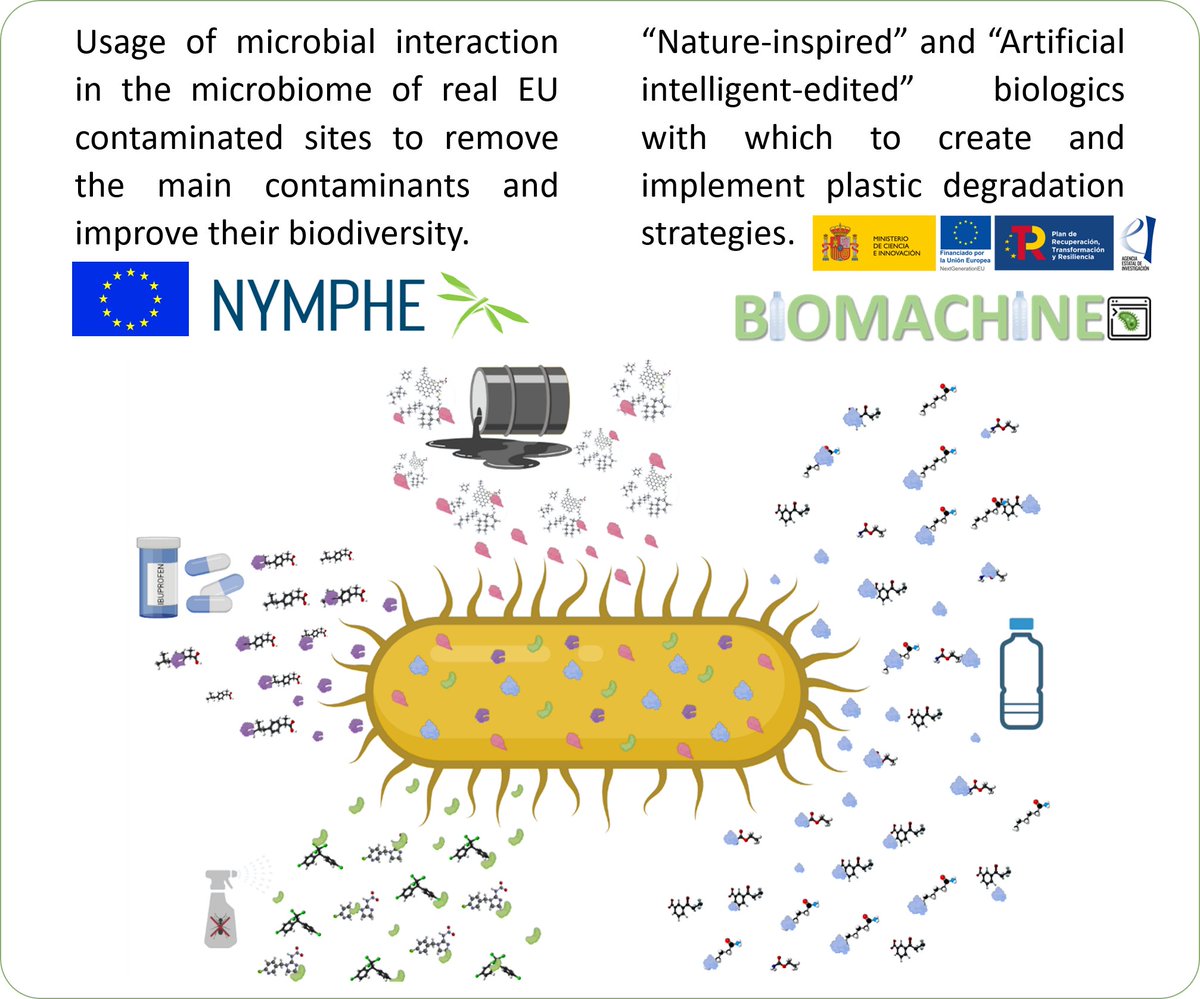 We are stubborn scientists🫨: keep on progress while restoring and preserving Nature is our motivation. 2⃣ more examples: @Nympheproject & #BioMachine take advantage of solutions designed by Nature🦠to adapt them for pollutants & plastic removal #bioremediation #plasticdegraders