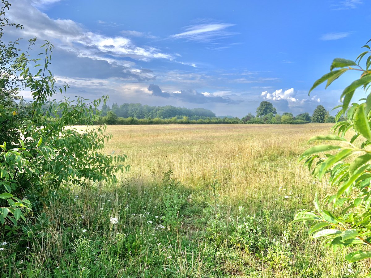 Prachtig tafereel met de wegtrekkende onweerswolken in ons mooie werkgebied

#Utrecht #utrechtseheuvelrug #krommerijn #krommerijngebied #wildbeheereenheid #natuur #boerenland #doorn #driebergen #langbroek #cothen #odijk #houten #nieuwegein #amerongen #leersum #veenendaal #zeist