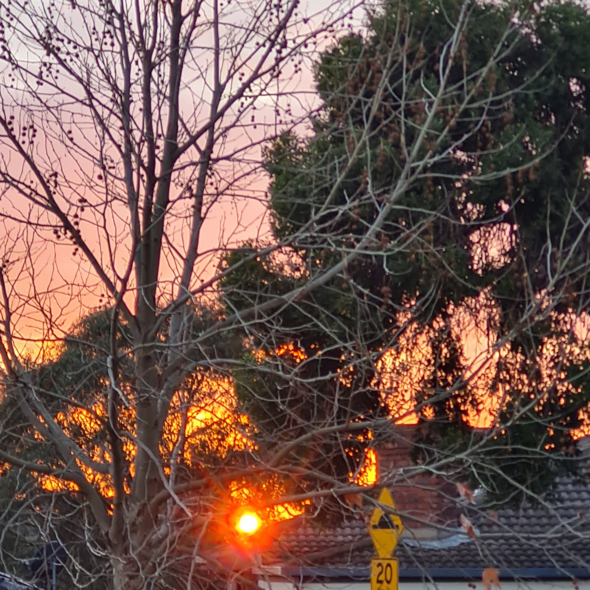 Sunshine peeking over rooftops this morning. Worth a snap.