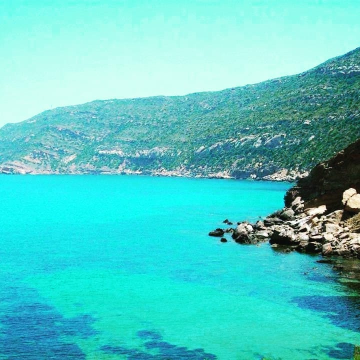 AfrikyaTN's tweet photo. Here we reach one of those bracing, secret natural pools around #Korbous springs, enjoyed and unraveled by #Tunisia's "Punic Pictures" - Happy escaping! https://t.co/Z7oWlMP5rW