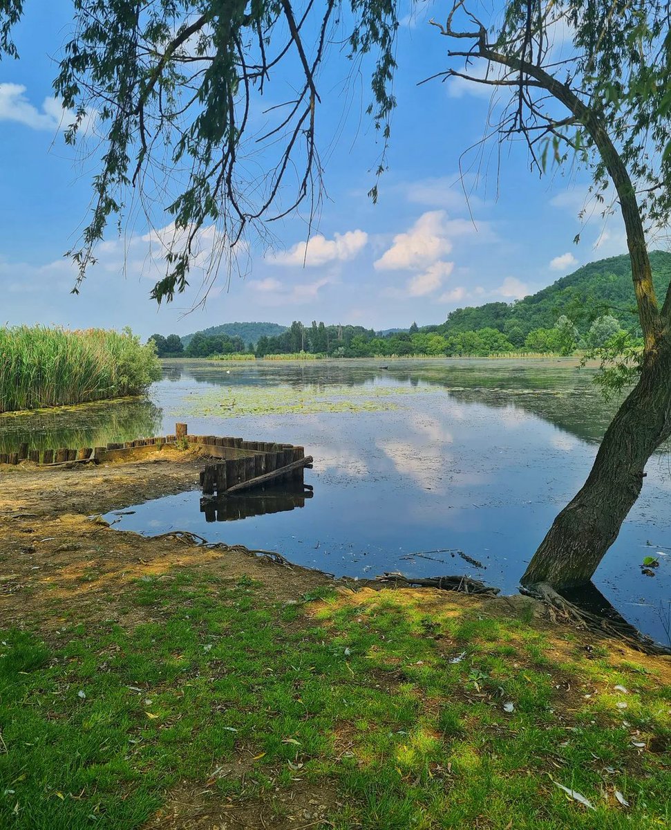 TurismoVeneto's tweet photo. E' il momento di scoprire il piccolo #LagodiFimon: ci sono facili itinerari da fare a piedi o in bicicletta oppure puoi scegliere di riposare all'ombra di un grande albero e goderti il paesaggio dei #ColliBerici
⛵#VisitVeneto
https://t.co/P9e6BztlLy
📸 IG valentinabrazzoli https://t.co/vVJal7cV8o