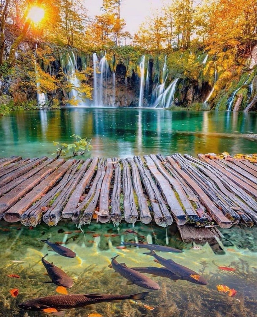 Planning our trip to Croatia 🇭🇷⏱ ​​ 📸 buff.ly/3CNBqva 
#plitvickajezera #croatia #plitvicelakes #plitvice #plitvicenationalpark #plitvicelakesnationalpark #nature #croatiafulloflife #hrvatska #travel #nationalpark #croatiatravel #visitcroatia #photography