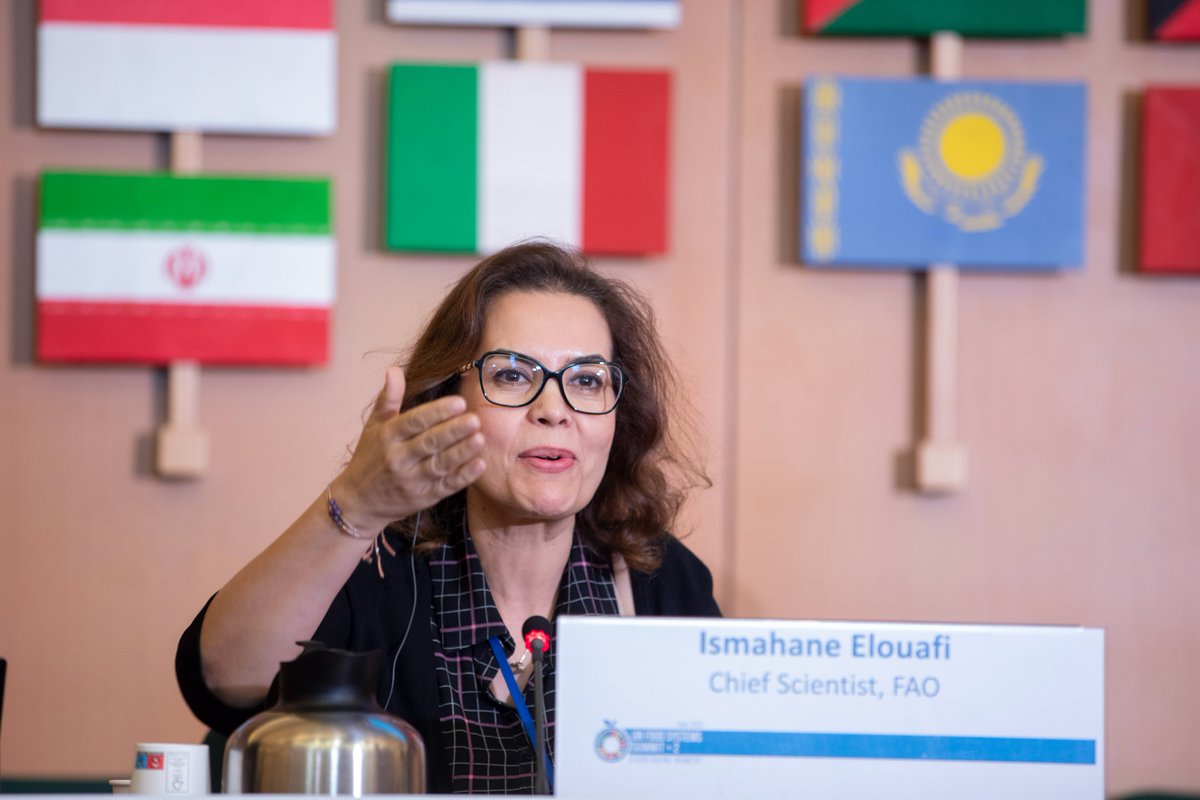 FAOScienceChief's tweet image. 💡Science, technology &amp;amp; #AgInnovation will  speed up the transformation of our agrifood systems.

Together, scientists of all disciplines, policy makers and the society can work together to find evidence-based &amp;amp; contextualized solutions.

📺media.un.org/en/asset/k1f/k…

#UNFSS2023