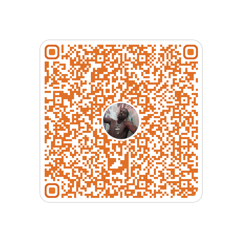 DaVinci Standard NFTs DaVinci.eth tweet media