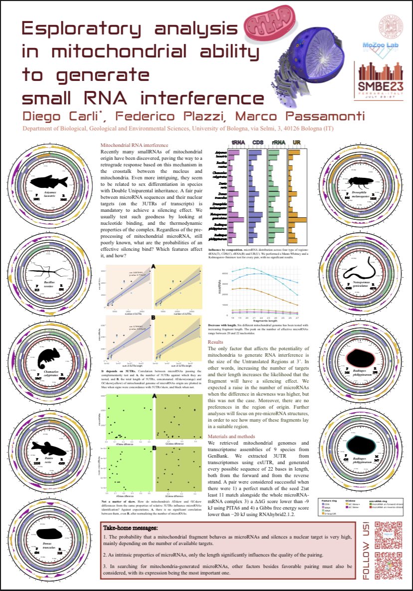 Diego Carli tweet media