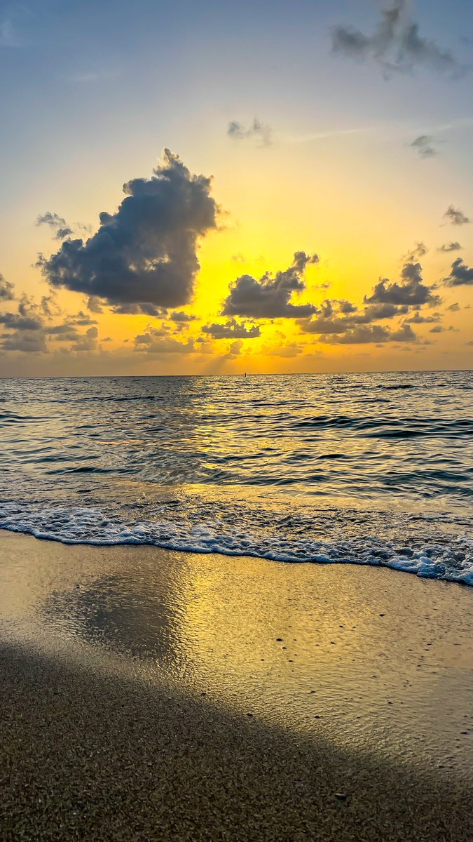 SunrisePhotography tweet media