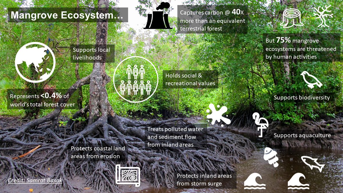 The International Day for the Conservation of the Mangrove Ecosystem is a chance to raise awareness abt the multiple values that these amazing but vulnerable ecosystems provide. Together we must prioritize protection, restoration &amp; sustainable mgmt of these precious ecosystems.
