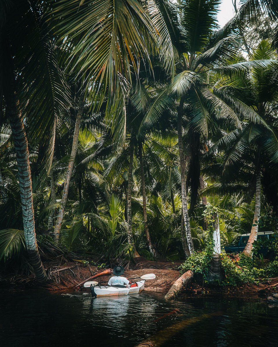 Rory Watson tweet media