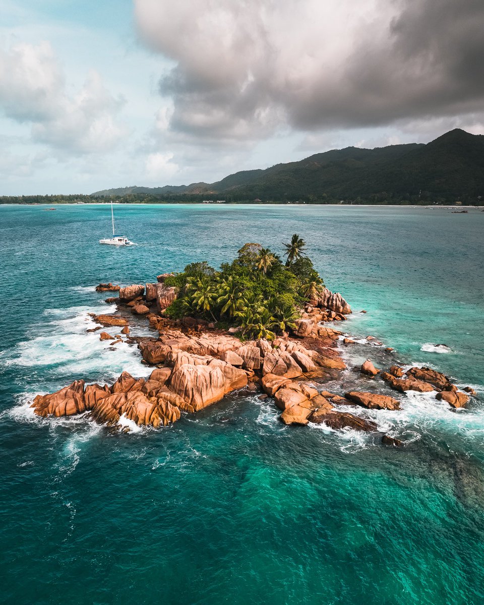 Rory Watson tweet media