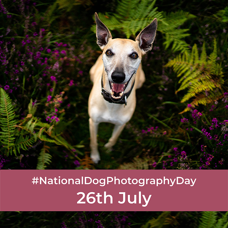 I'll be on Heart FM with Jamie and Amanda in 5 minutes!! Wish me luck! #nationaldogphotographyday