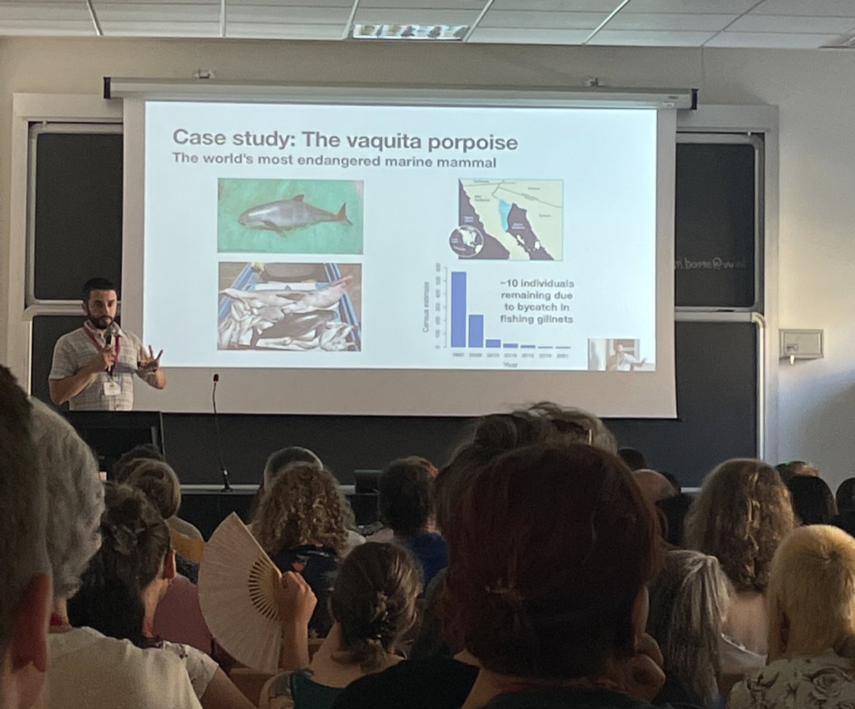 Simulations represent a powerful approach to overcome limitations of current methods that annotate deleterious variation. @ChrisKyriazis also showed a case study with the extremely threatened vaquitas #SMBE23