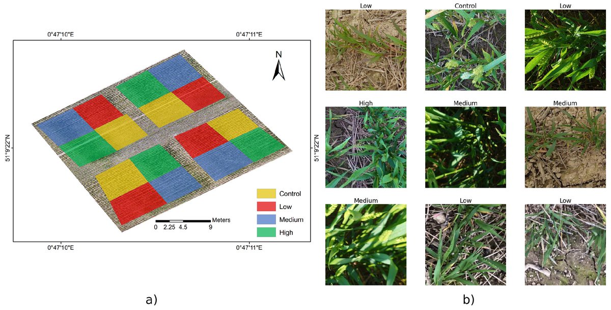 RemoteSens_MDPI's tweet photo. #mostdownloaded
📢The  Self-Supervised #Spectral–#Spatial Vision Transformer Network for Accurate  Prediction of #Wheat Nitrogen Status from #UAVImagery by Xin Zhang, Liangxiu Han, Tam Sobeih, Lewis Lappin, et al.

👉 Read the full article: https://t.co/kB9W3syRLy https://t.co/MJWwvdfPTE