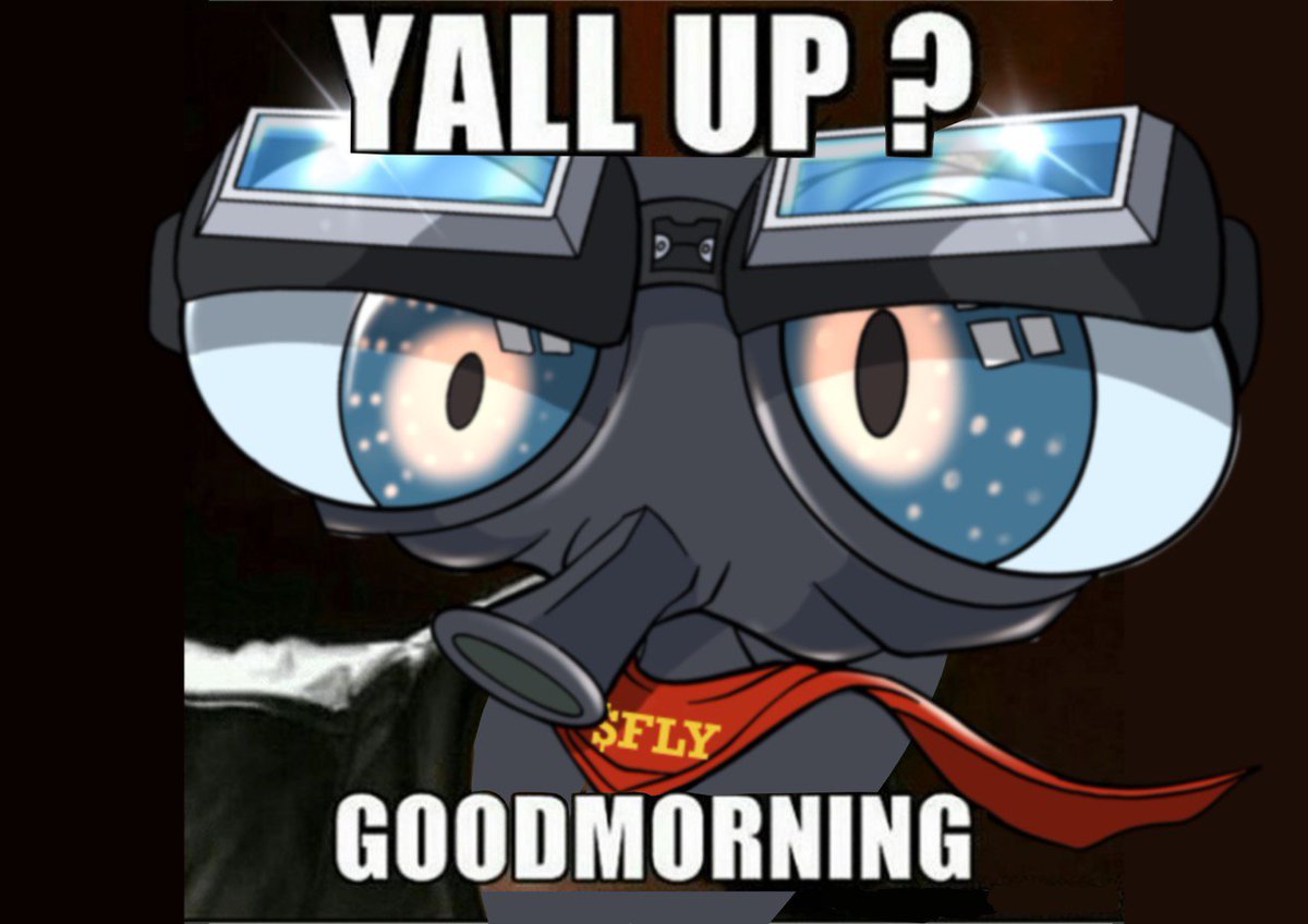 GM.

Let's make it a buzzing day! 🌞✨