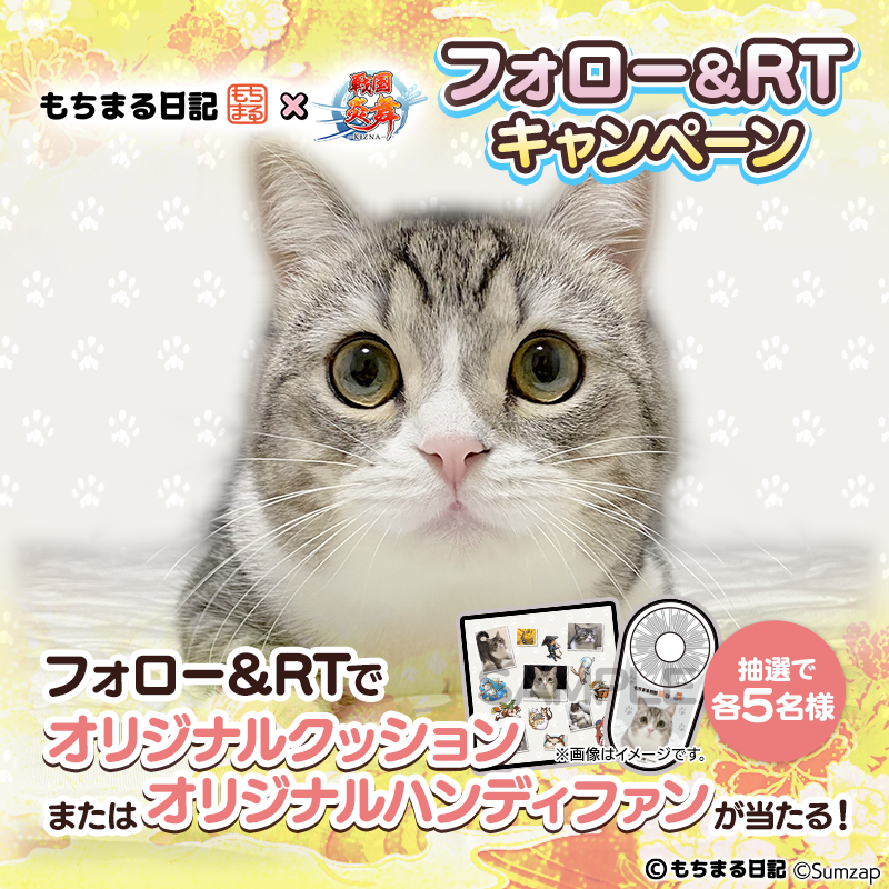 sengoku_enbu's tweet photo. ／
#もちまる 日記× #戦国炎舞 コラボ記念！
🐈フォロー＆RTキャンペーン🔥
＼

抽選でオリジナルクッションorハンディファンを10名様に🎁!!

▼参加方法
①@sengoku_enbuをフォロー
②このツイートをRT

⌛期間
7/28(金)15:00～7/31(月)23:59