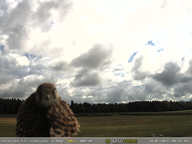 ARSO vreme tweet media