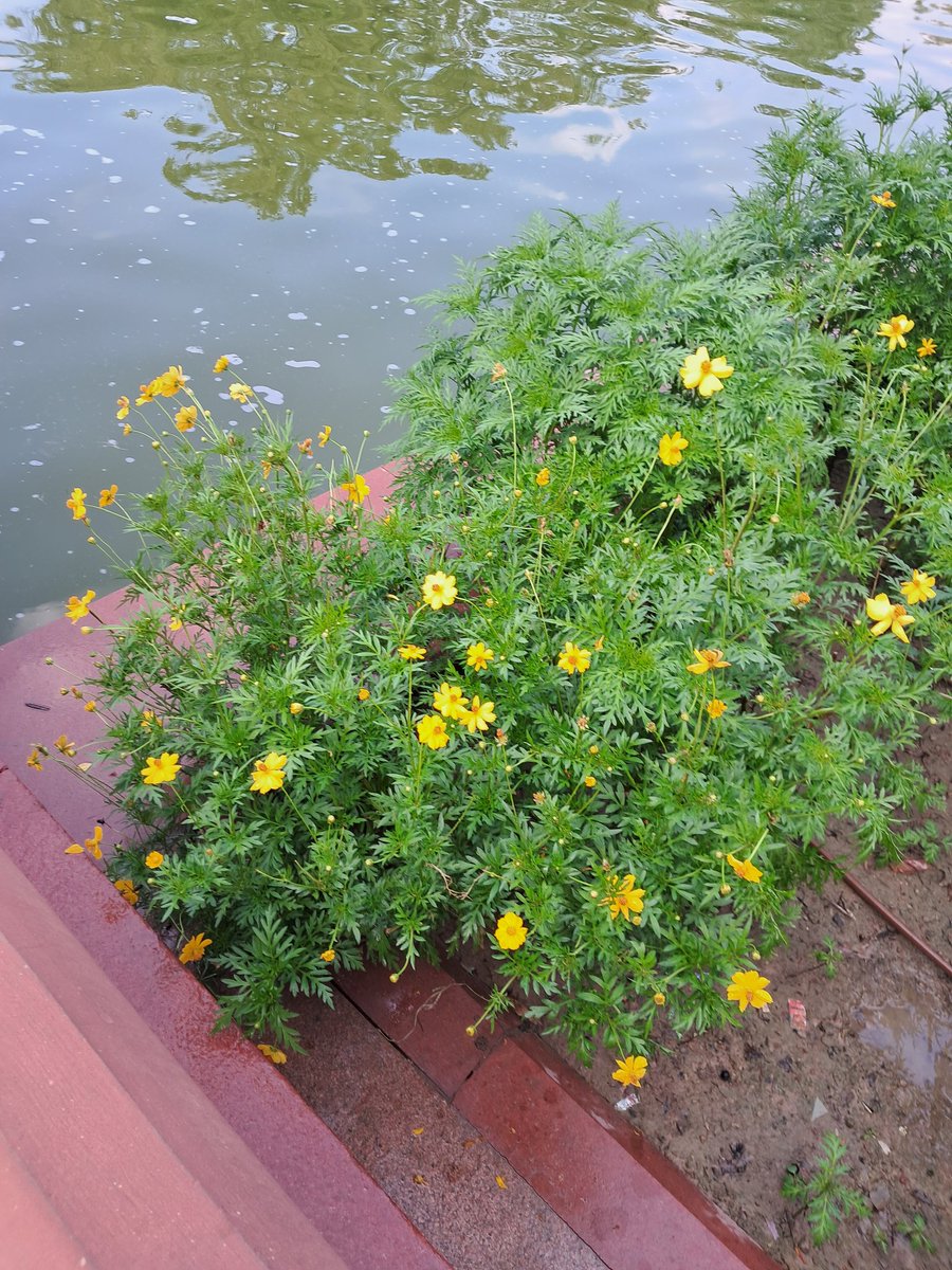 Bandananiky's tweet photo. Beauty of nature 🩵🌍
#NaturePhotography https://t.co/W5iDbiOWnG
