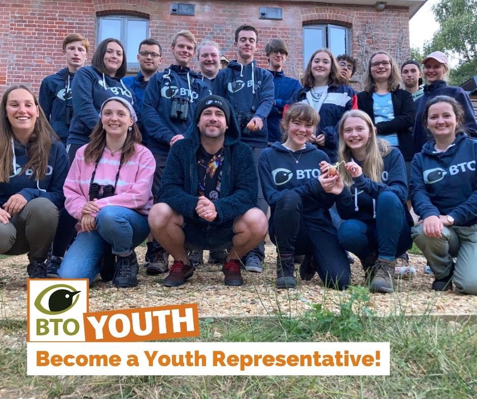 🔈 Calling all 16-24 year olds with an interest in nature! 🌿
#btoyouth are recruiting more youth reps -  the <a href="/_BTO/">BTO</a> youth programme is  incredible and I have had an amazing 2.5 years with them - please feel free to message me for my experiences 
bto.org/community/regi…