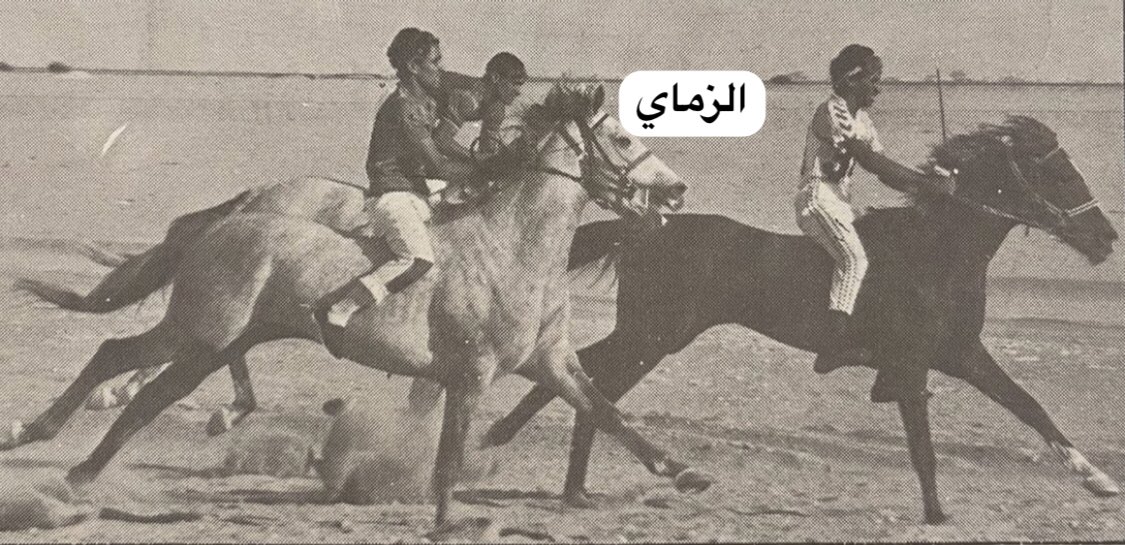 AlHumoudh's tweet photo. مكتبة اسطبل الزماي
نادي فروسية الجهراء    1988 _ 1989
الاجتماع الثالث
الشوط الاول
جياد الدرجة المبتدئة
الفائز .. سراب
المالك / عيد خضير
سراب يصمد للهجوم بالخيال عبدالوهاب الخضر ويتقدم للفوز https://t.co/xpEm1acKHL