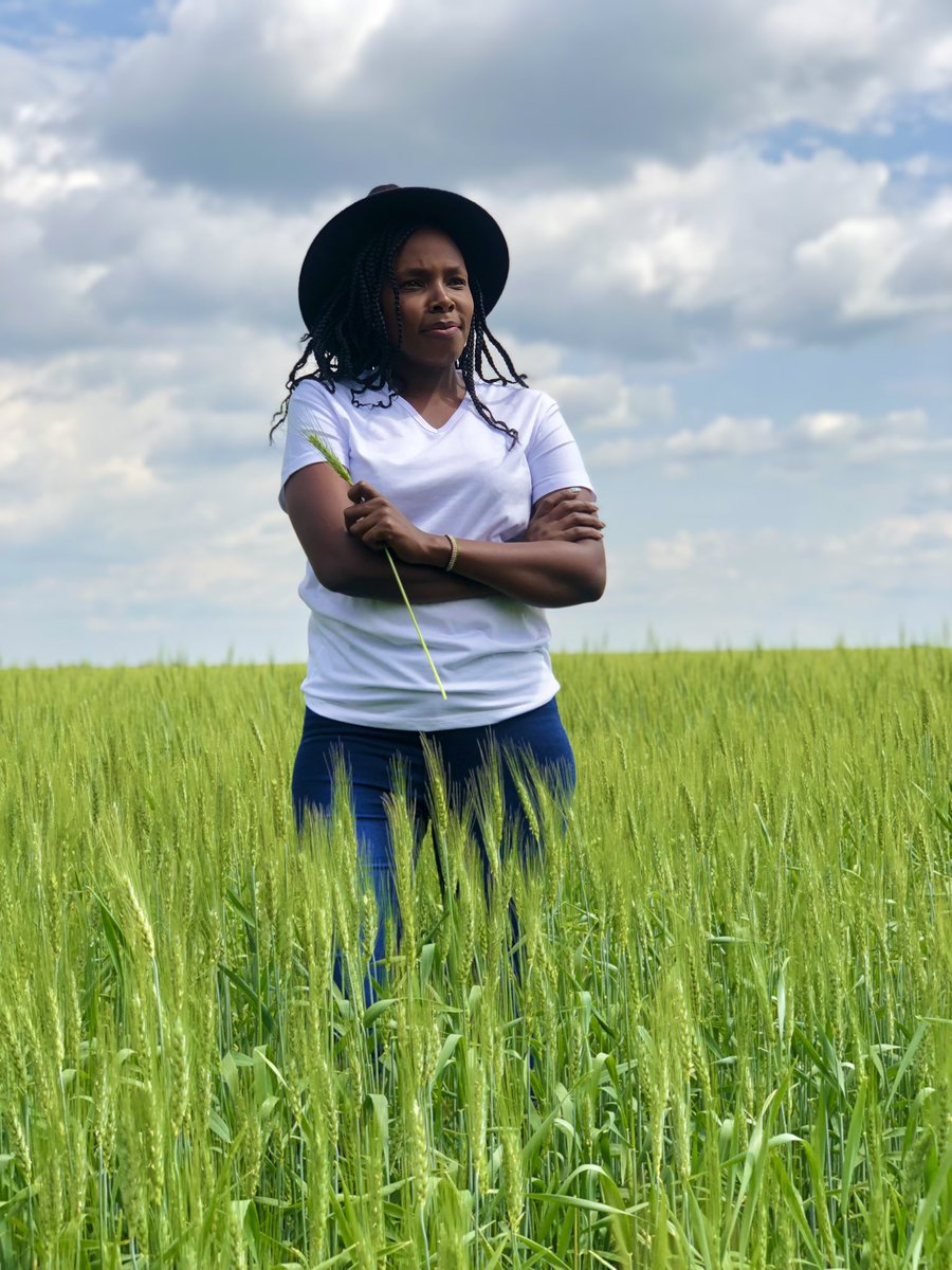 Jannettoroitich's tweet photo. Women in Agric🌾

Wheat plant 2023🌾🌾

Mbolea Ni Yara. https://t.co/pemOeJjtG1