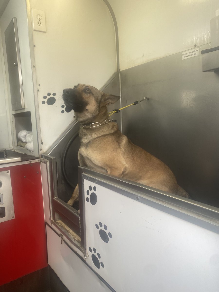 Who doesn’t love a good spa day? Hair and nails done ready for the rest of the week 🐾