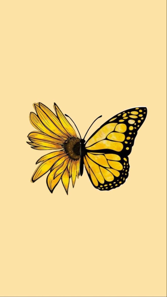 ShaHnDa_Nada's tweet photo. 🧶🪡🦋 https://t.co/MH2biAeg0W