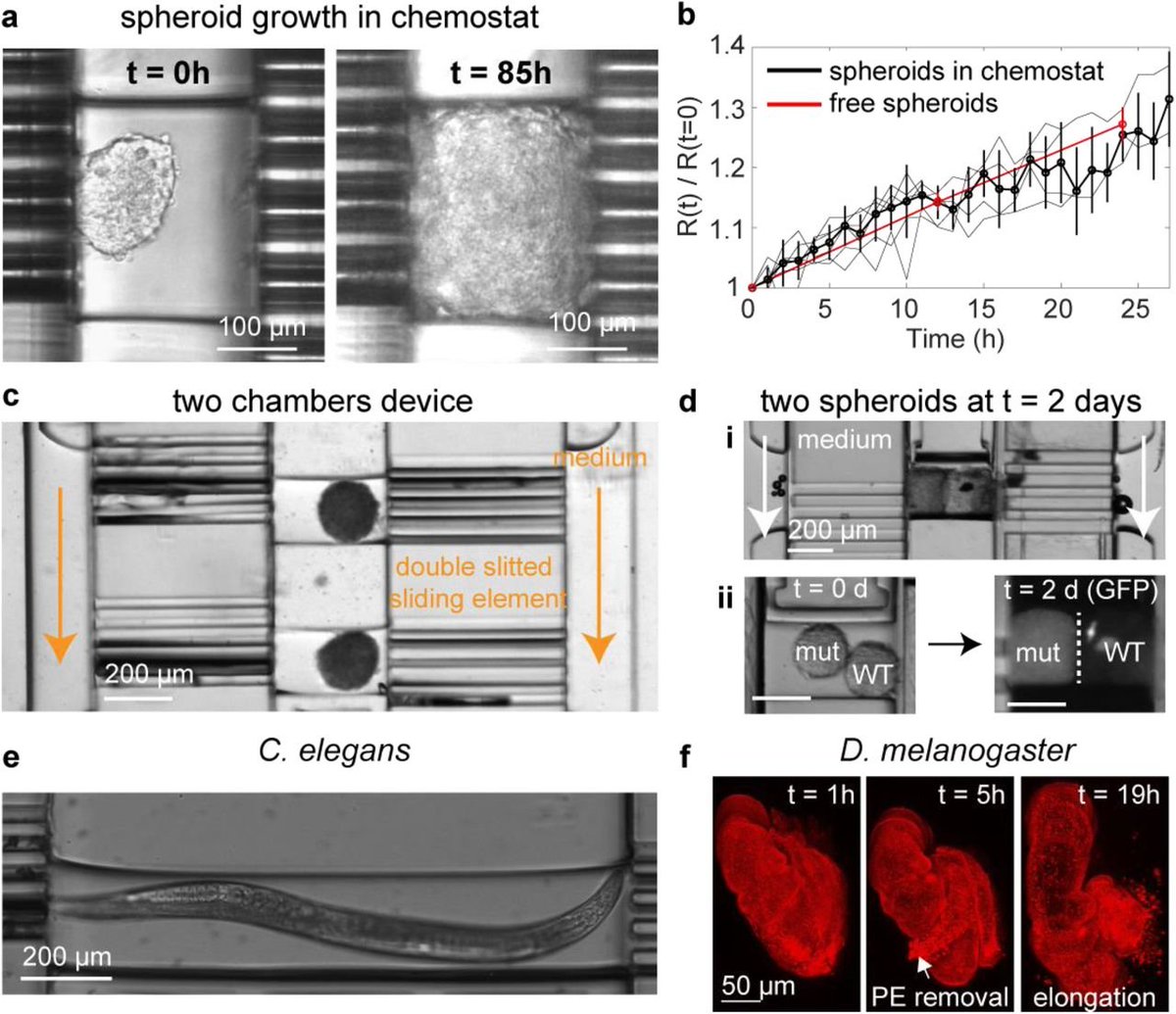 MWNautilus's tweet photo. An easy-to-use #microfluidic mechano-#chemostat for long-term #culture of #biological samples such as #tissue & organisms:
https://t.co/SqgeGYR818
#DIYbio #lab #instruments #biohacking #spheroids #biology #microfluidics https://t.co/Q1K3YeHFPO