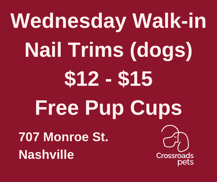 CrossRdsCampus's tweet photo. #healthypets #dog #dogs #dogsofnashville #615 #happy #love #happypets #wednesdaywisdom https://t.co/tIncfRR5ue