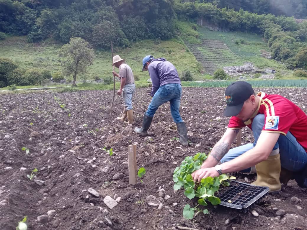 FEDEAGRODIGITAL's tweet photo. El tono del campo, restablece el vigor del espíritu humano.
El trabajo del campo es nuestra búsqueda más sabia porque al final contribuirá más a la riqueza real, la buena moral y la felicidad. https://t.co/TMMxaGlFVl