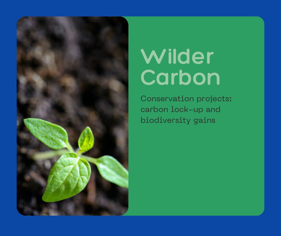 🌿 IIntroducing Wilder Carbon: A Not-for-Profit Natural Climate Solution🌍

Wilder Carbon is a not-for-profit initiative that ensures top-quality conservation projects in the UK.

Discover more details at: lnkd.in/eQ5fjPTC

#WilderCarbon #ClimateSolution #Conservation