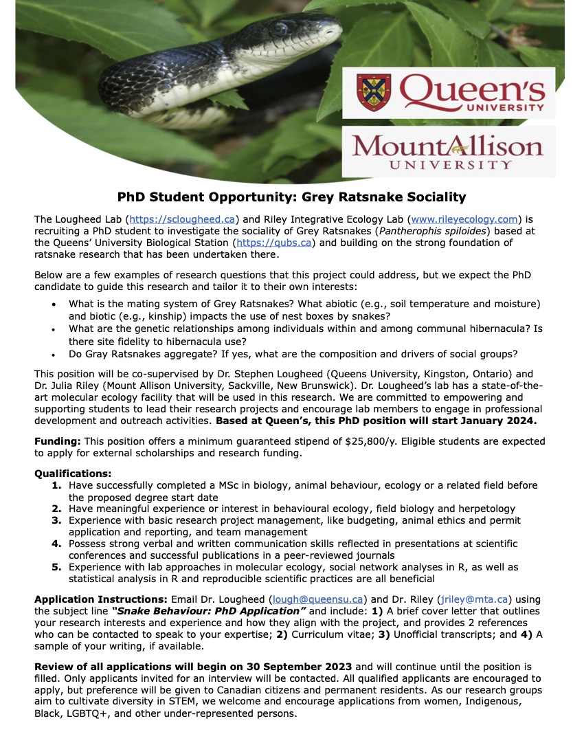 🐍 @sclougheed and I are looking for a PhD student to study the sociality of Grey Ratsnakes! 🐍 The position starts in January 2024. Check out the ad and our lab websites for more details. Please share (RT) and apply by Sept 30!