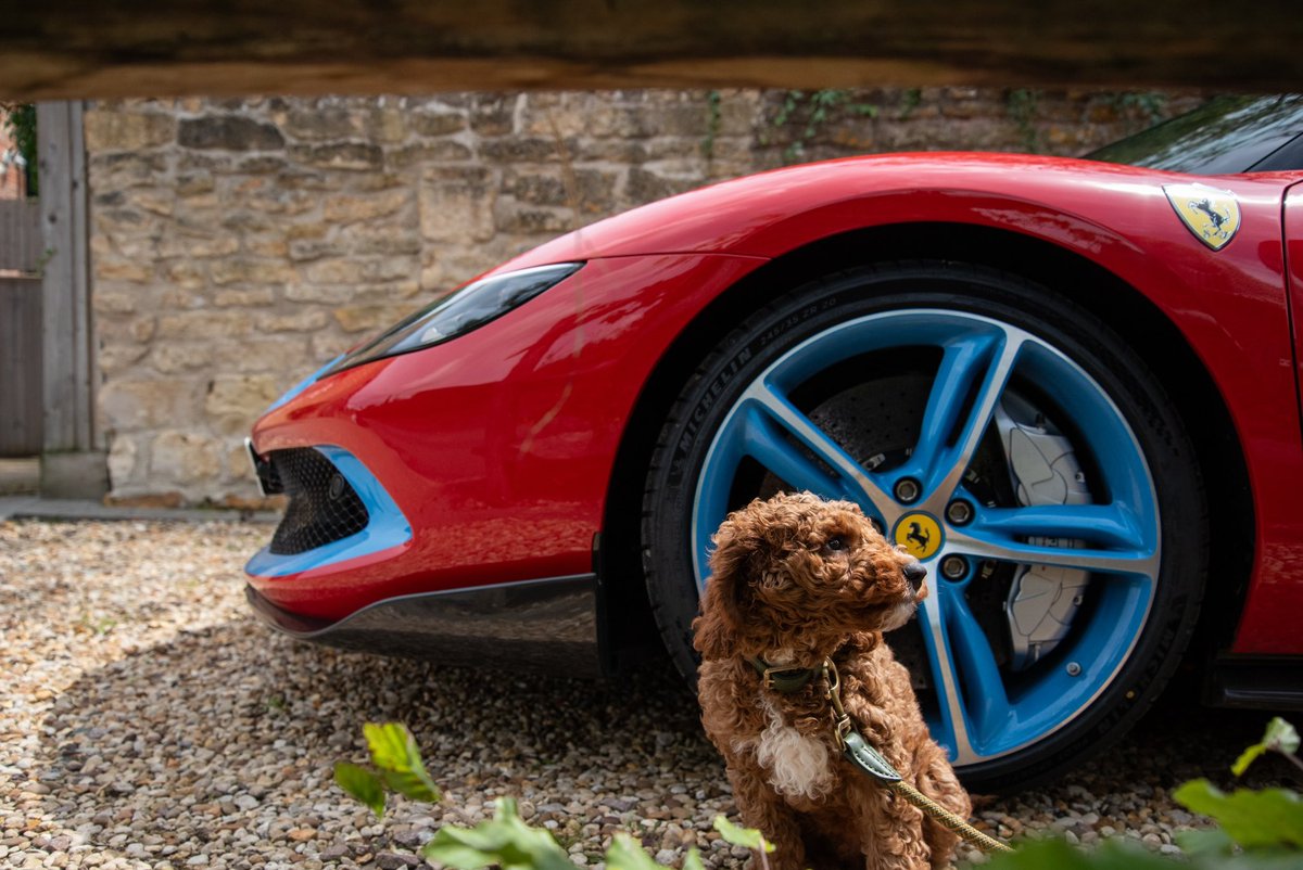 After naming our wee boy Dino, we had to make sure he got a picture with the spiritual successor to the Ferrari Dino 246 GT.