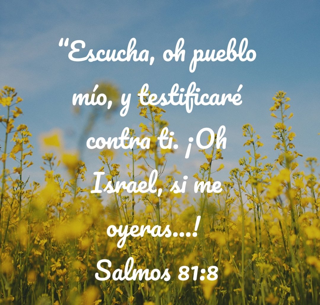 elva7310's tweet photo. No solo nosotros suplicamos para ser oídos , Dios también nos habla , que en este día podamos escuchar su voz y ser obedientes, alabemos su santo nombre. Recordemos que él siempre quiere lo mejor para nosotros.
#Salmo81 #rpsp #MiBibliaDice https://t.co/ka3qgnXXCK