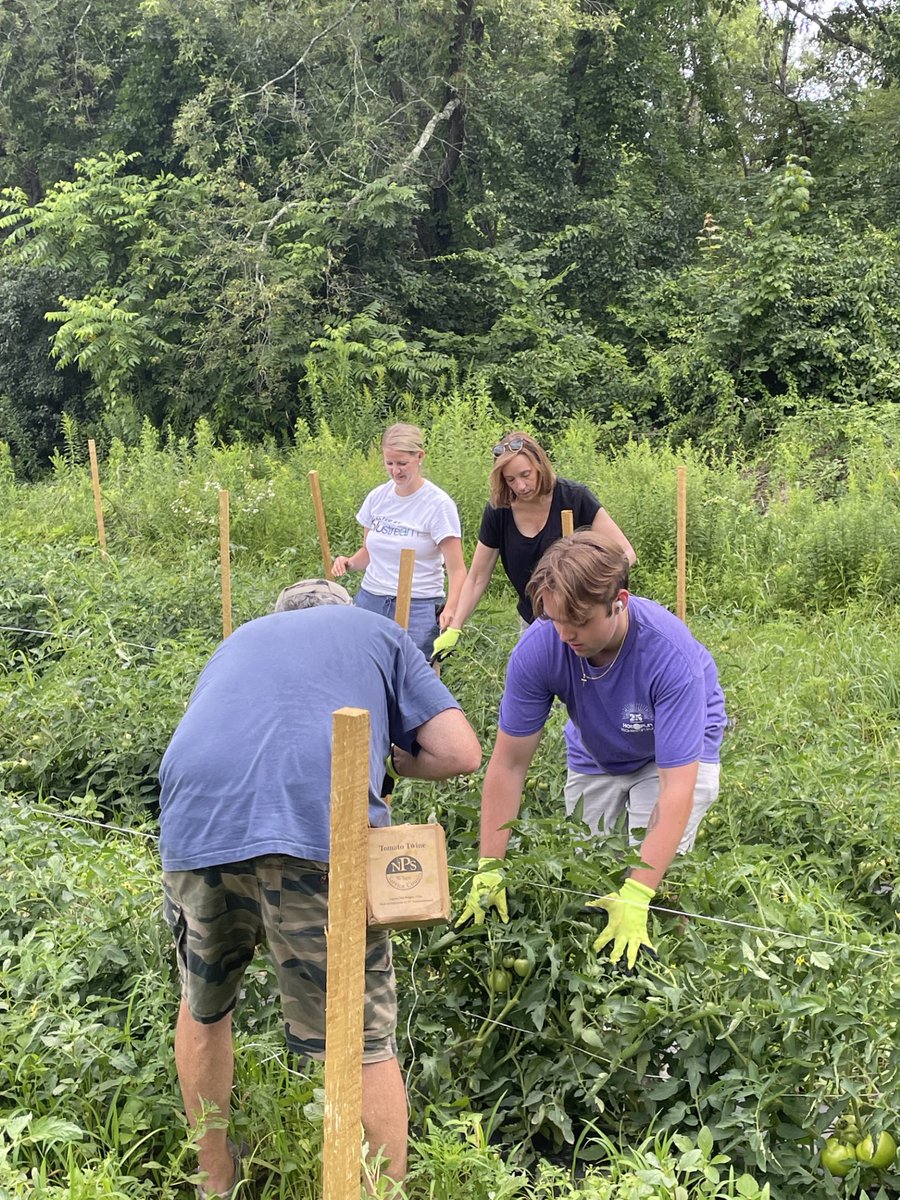 Blustream.io tweet media