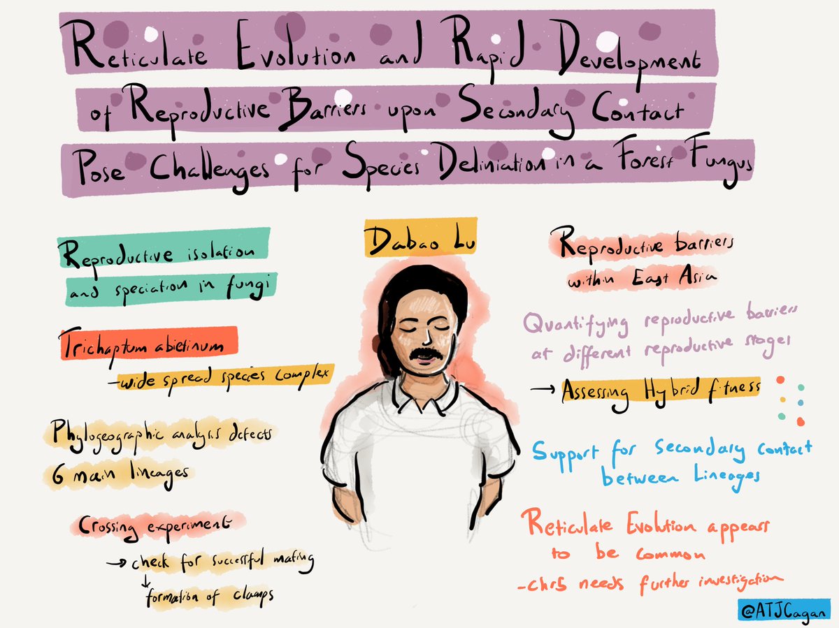 Dabao Lu on reticulate evolution and reproductive barrier evolution in fungi #smbe23 #smbe2023