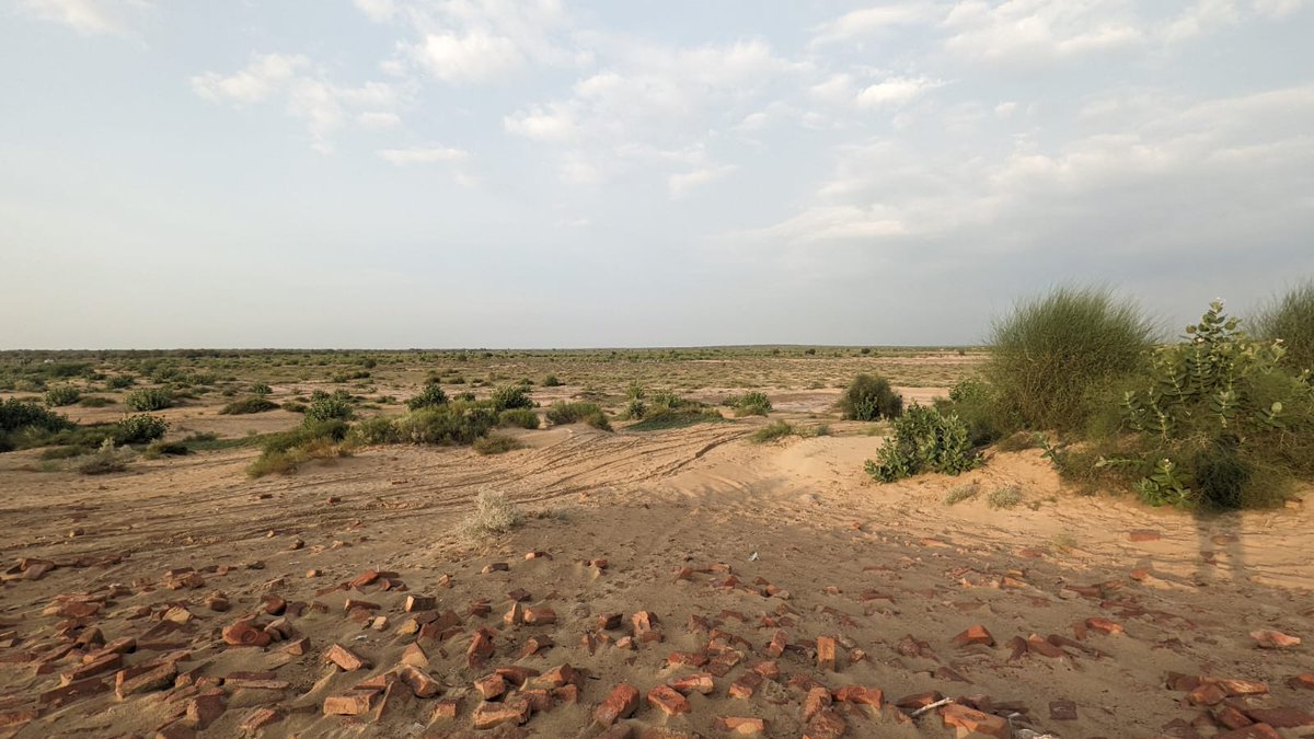 cas_abbe's tweet photo. Enjoying nature's calm, captivated by the earthy scent of clay. 🌿✨
#NatureCalm #EarthyScent #ClayMagic #SoothingAromas #NatureEnchantment #GroundedInNature #hamidowaisi #crypto #nft https://t.co/8AQN6ZmnFy