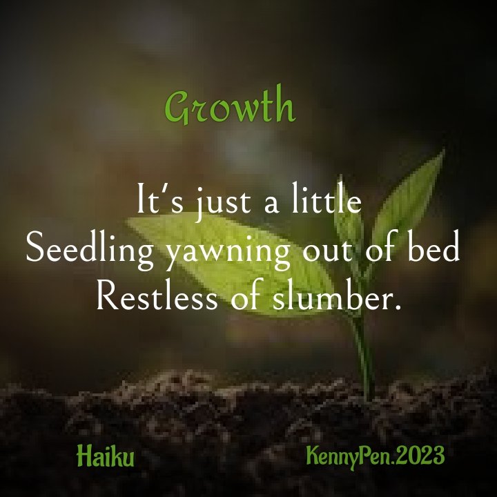What is growth to you? 
#the365wm
#the365writingmarathon
#HaikuwithKennypen
#kennypen