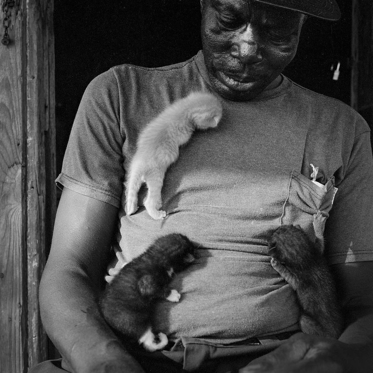 blackarchivesco's tweet image. Photographs by Keith Carter (circa 1985-1991) 

Photos were taken in Texas and possibly other unspecified locations.