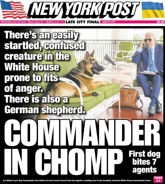 Startled and Confused creature prone to fits of anger in the White House is an understatement! Why is it even the dog gets a pass? 🤔
