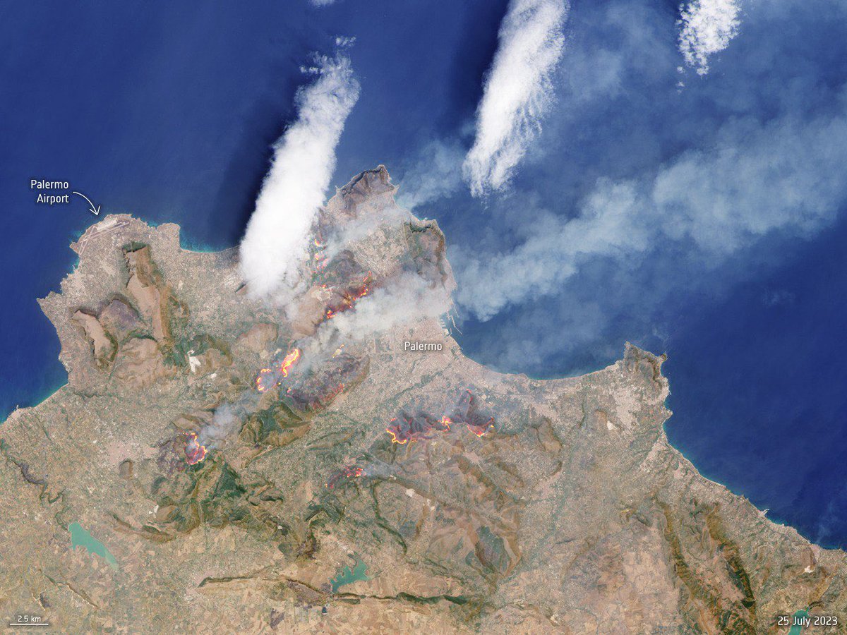 Wildfires around the city of #Palermo as seen in this Landsat-8 image from 25 July.
To highlight the fire fronts, we overlaid the SWIR signal - the image also include topography info.
<a href="/vigilidelfuoco/">Vigili del Fuoco</a> reported that more than 2 000 firefighters are battling the fires in Sicily.