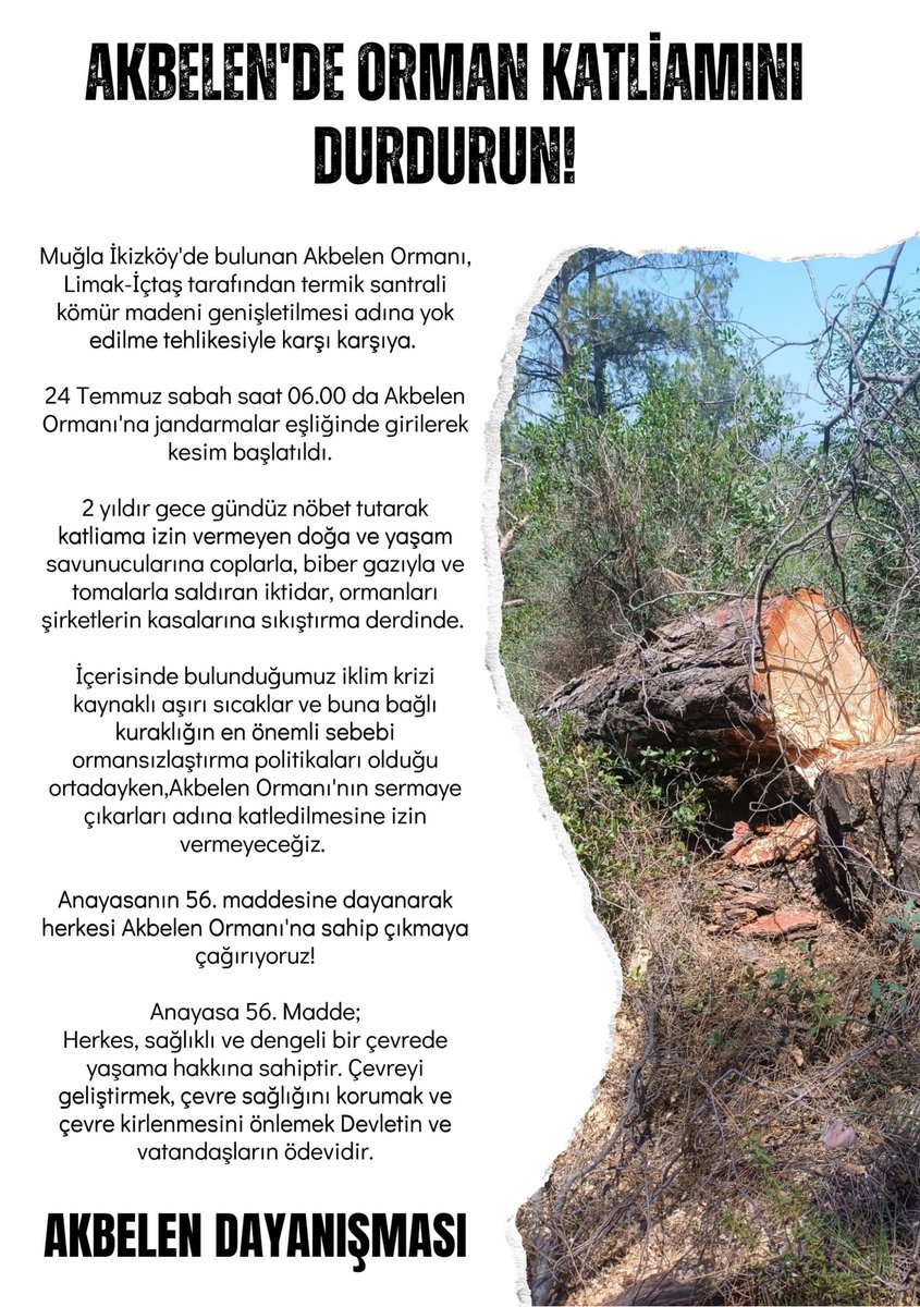 Ağaç ve orman katliamını durdurmak için Akbelen ile dayanışmaya

#AkbeleneDokunma #AkbelenOrmanınıVermeyeceğiz
