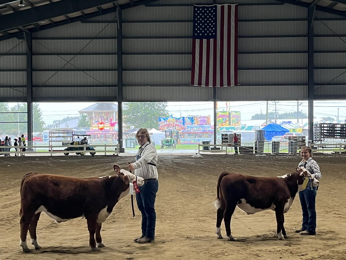 BkackEyeSusan's tweet photo. Show day came and went at the Del. State fair. The boys of BES and our 4H showmen had a great day. First and second in their class and was honorable mention in final drive. These Small Town Kid calves have had a great run this summer. Many thanks to everyone for their help!!! https://t.co/5CWhhgfWNr