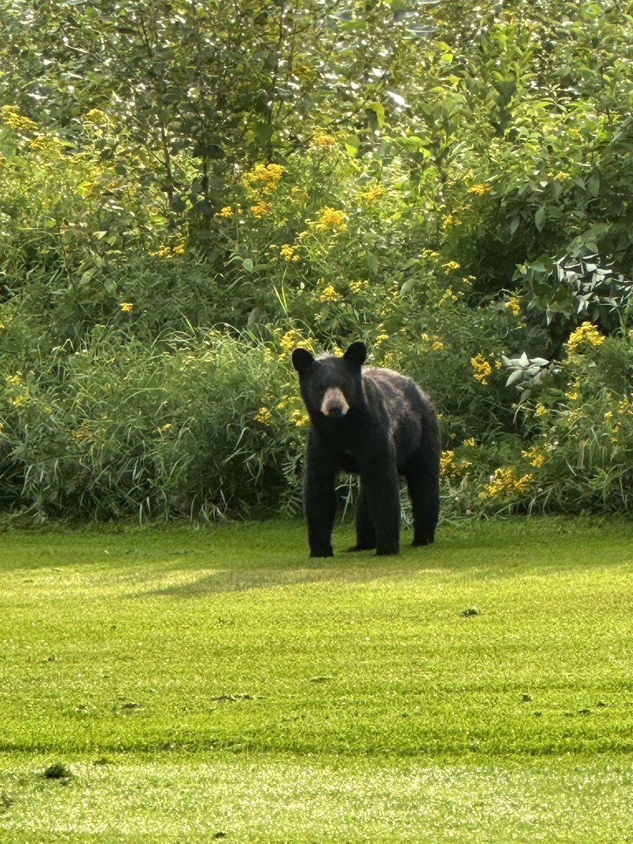 <a href="/GolfDigest/">Golf Digest</a> <a href="/GolfChannel/">Golf Channel</a> the beauty of northern Alberta Canada. We just couldn’t let him play through this morning. #nature