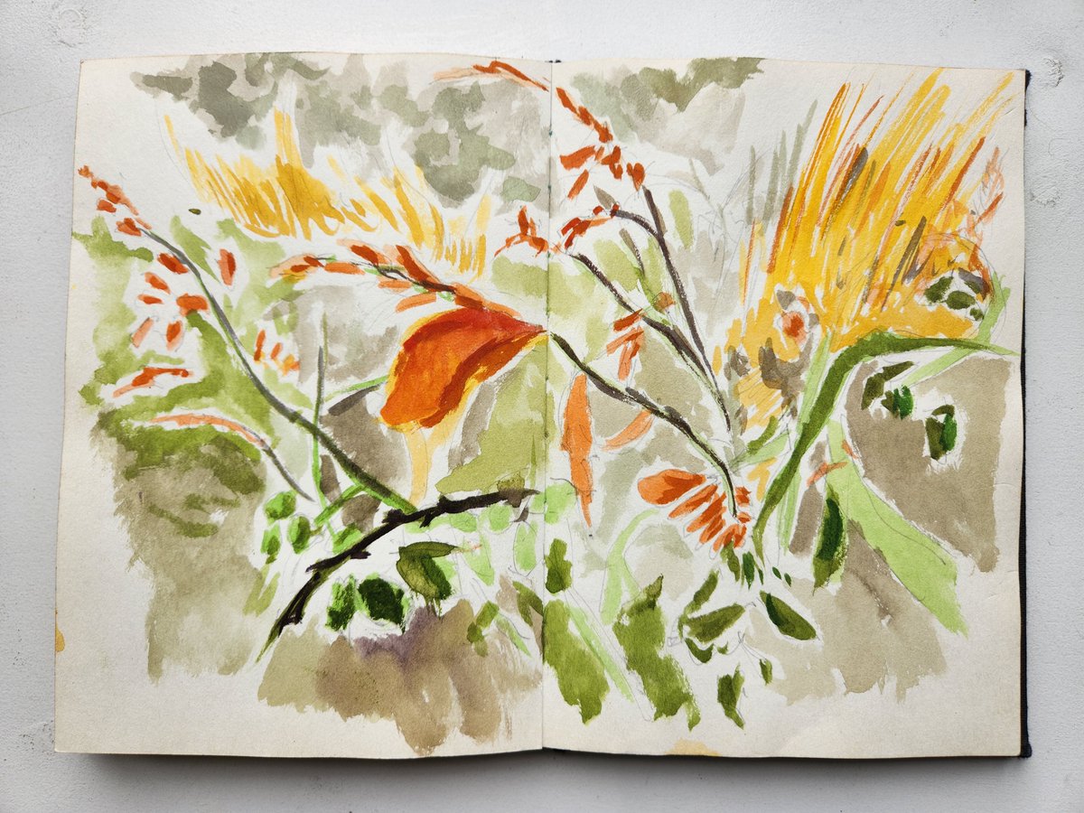 Charlie Collins tweet media