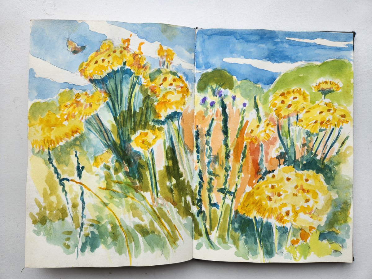 Charlie Collins tweet media