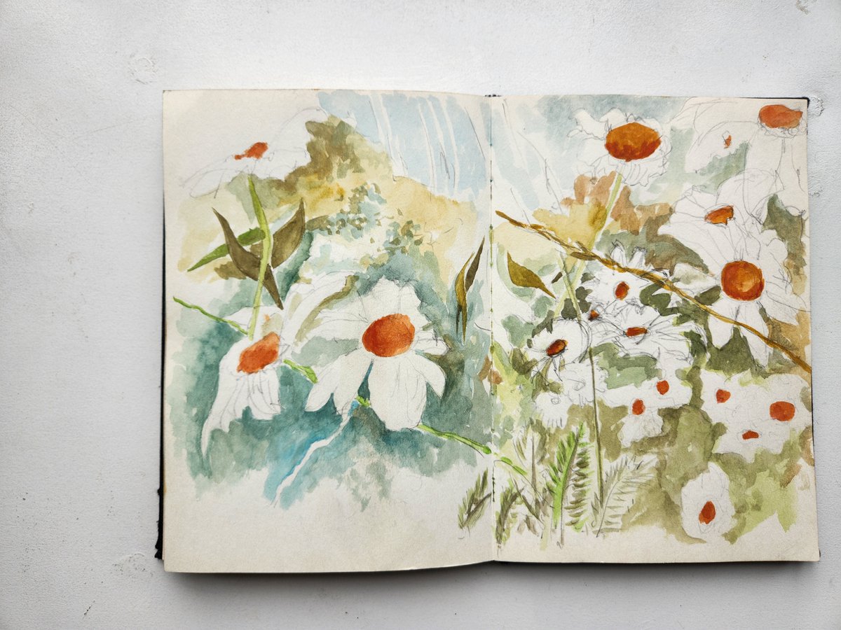 Charlie Collins tweet media