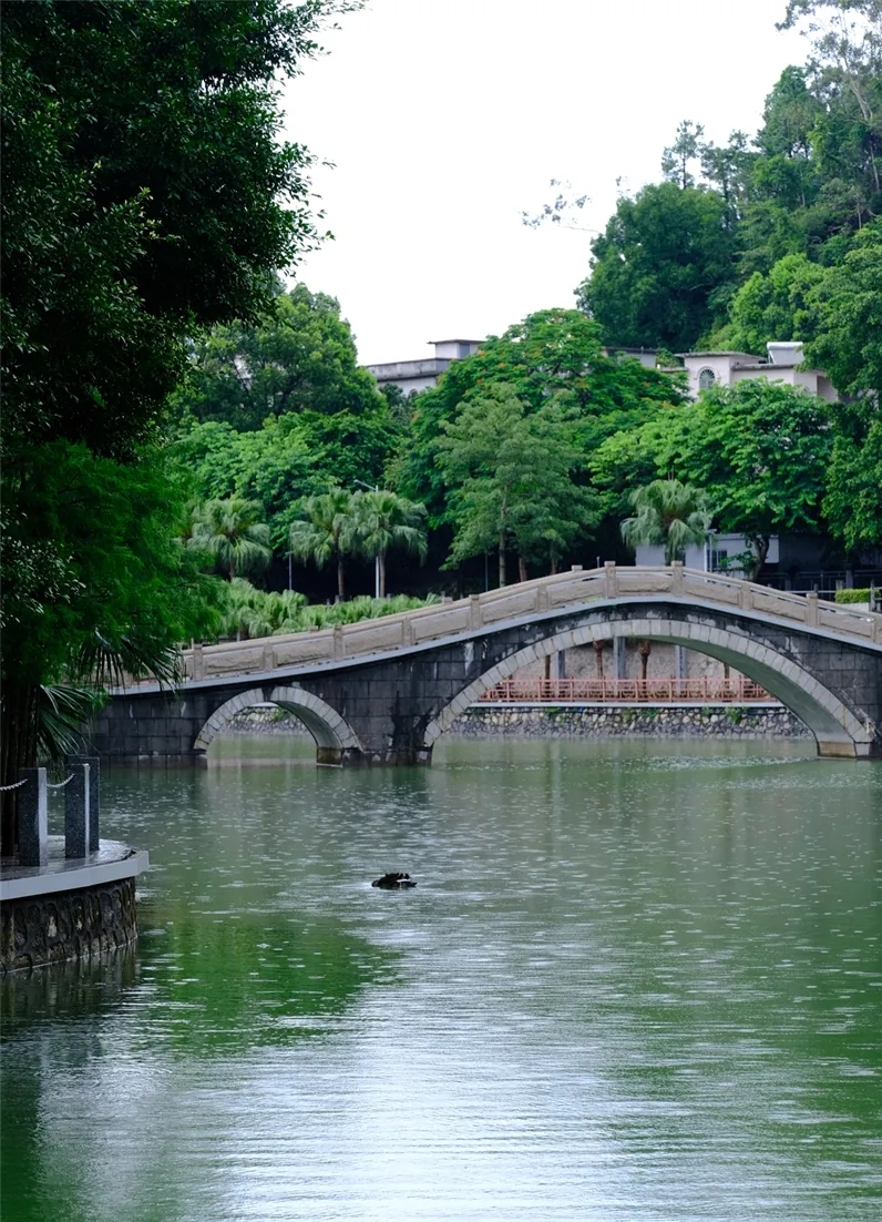 ExploreZhuhai's tweet photo. Surrounded with beautiful mountains, Xiashan Park is a charming destination for relax, where in the clear lakes dance the elegant shapes of lush forests, creating a quiet and peaceful atmosphere.
#SummerSplendor #SummerWonders #IncredibleZhuhai https://t.co/UVVqlWpTKJ