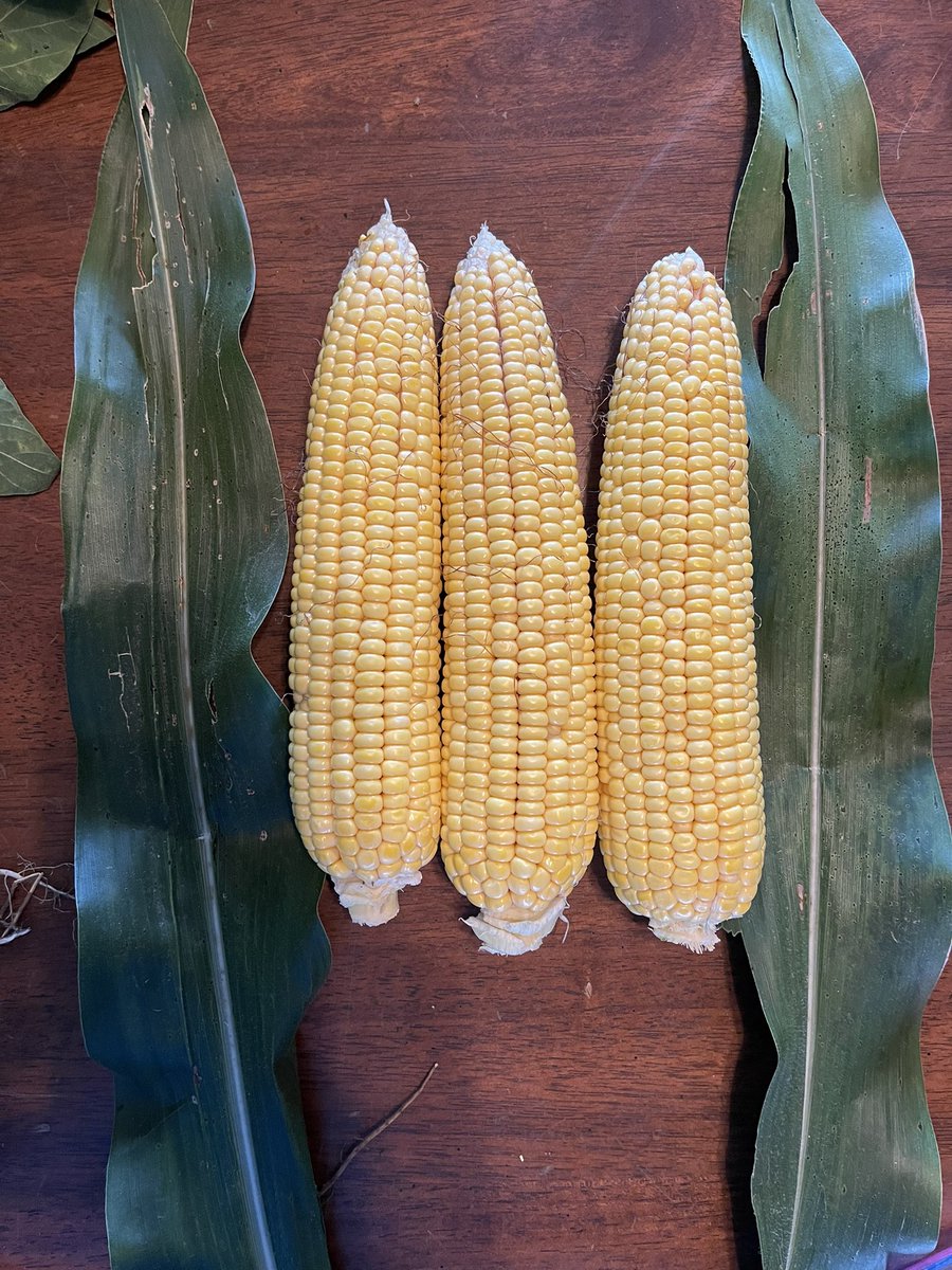 Erin Marlow tweet media